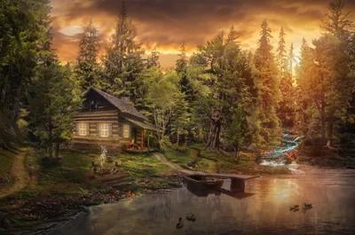PROMENONS NOUS DANS LES BOIS poster1