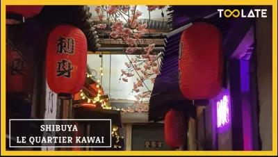 SHIBUYA : LE QUARTIER KAWAI poster1