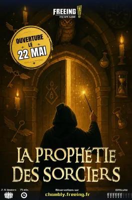 LA PROPHÉTIE DES SORCIERS poster1