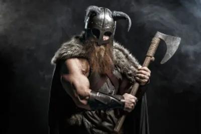 Viking 2.0 poster1