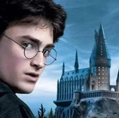 DISPARITION A L’ECOLE DES SORCIERS poster1