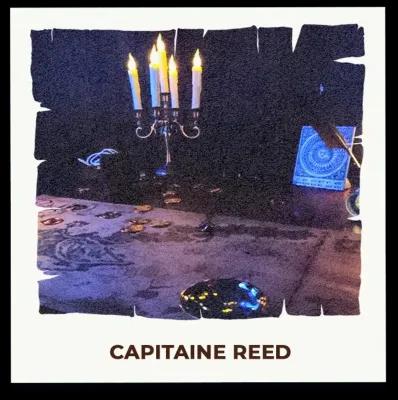 LES RÉVÉLATIONS DU CAPITAINE REED poster1