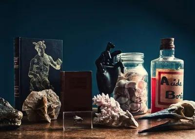 Le Cabinet de Curiosités poster1