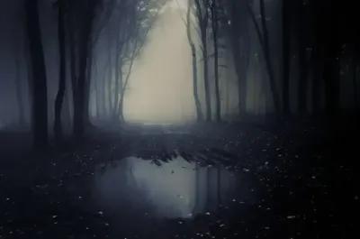 La Forêt poster1