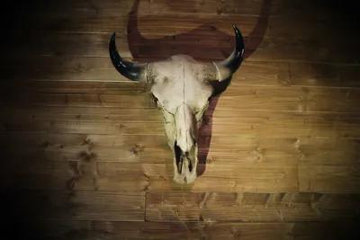 The Saloon poster1
