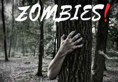 Zombies! poster1