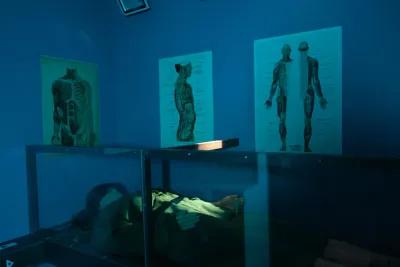 The Morgue poster5