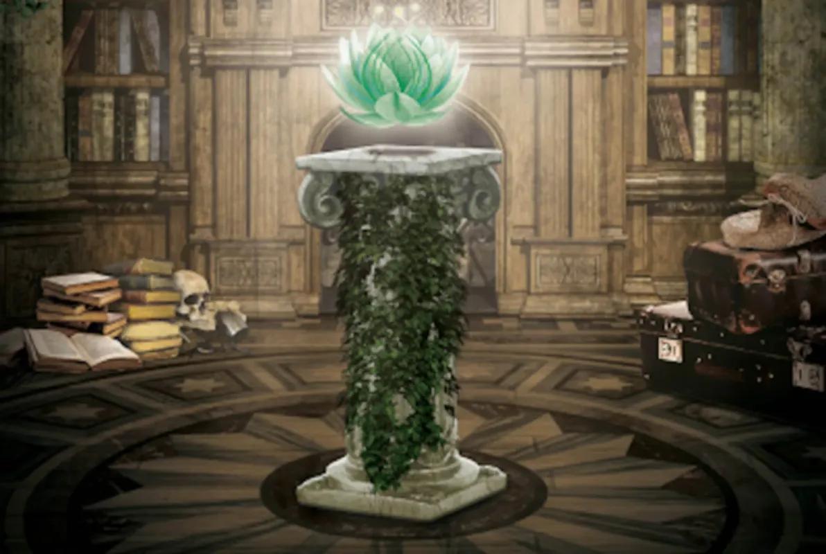 The Strange Office of Théodore Monod