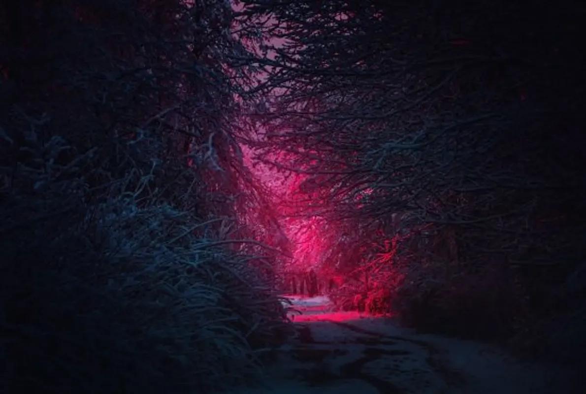 Stranger