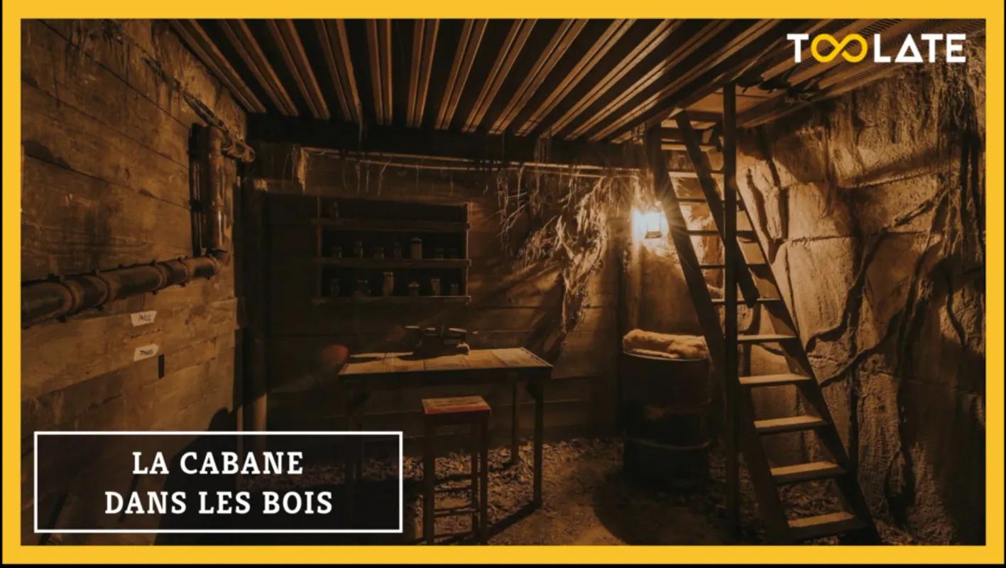 LA CABANE DANS LES BOIS