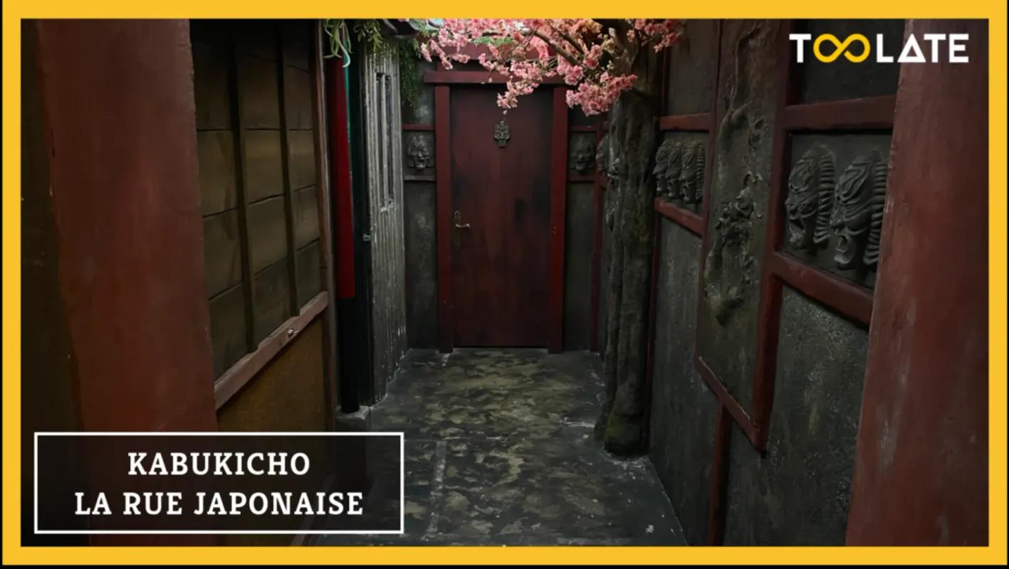 KABUKICHO : LA RUE JAPONAISE