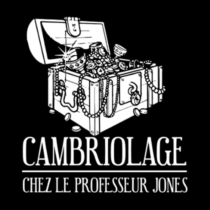 Cambriolage chez le Professeur Jones