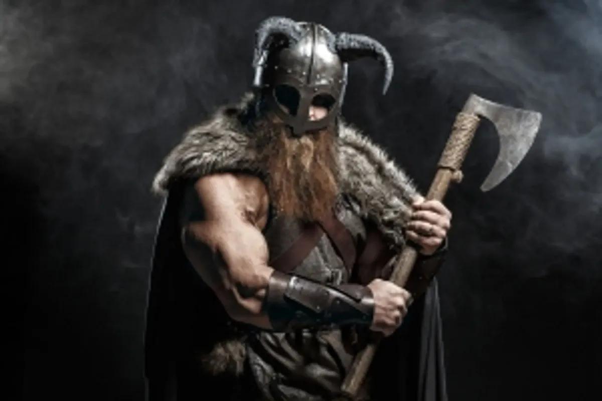 Viking 2.0