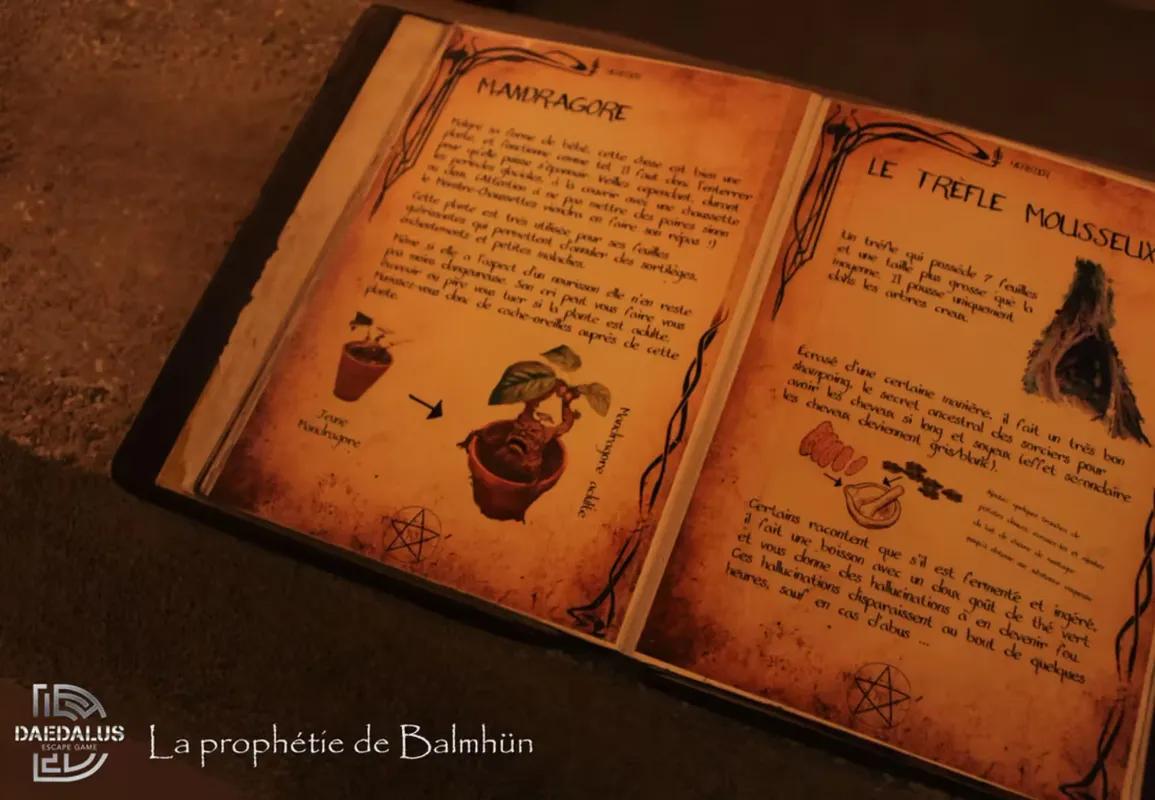 La Prophétie de Balmhün