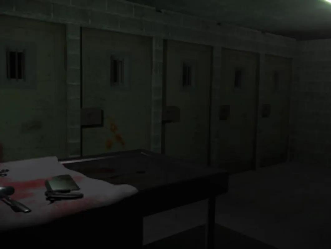 THE ASYLUM