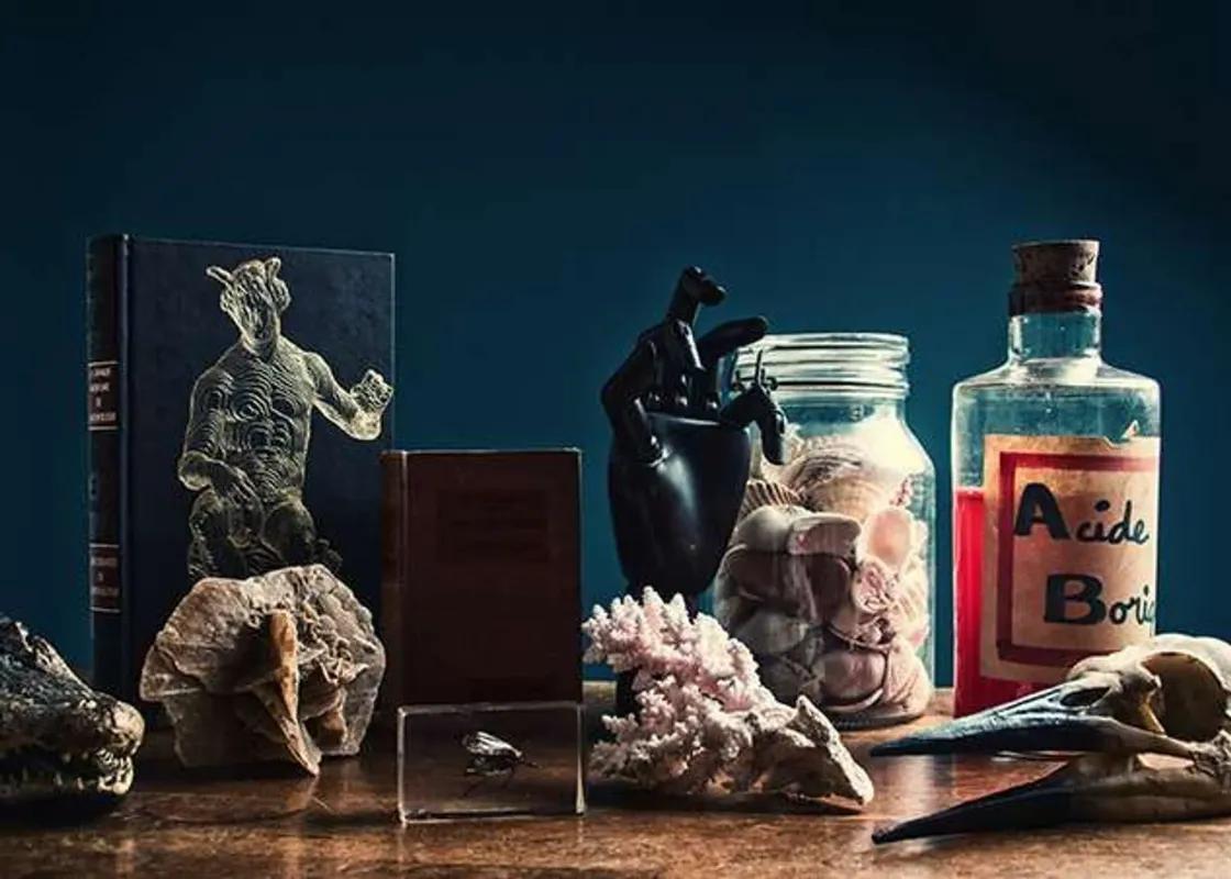 Le Cabinet de Curiosités