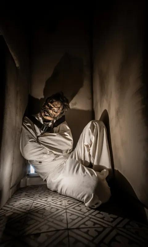 The Asylum
