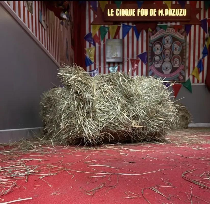 Le Cirque