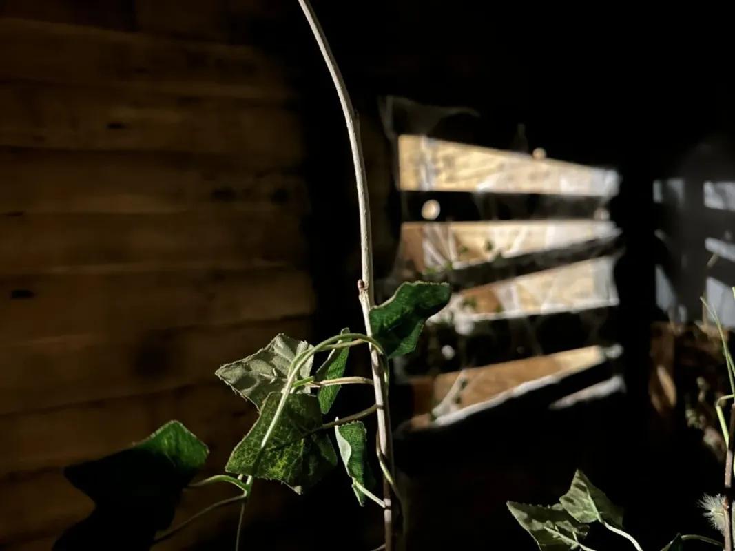 La Cabane